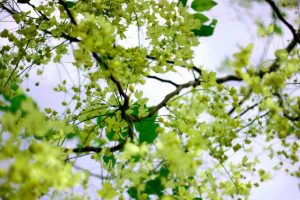 Hãy nói yêu thôi