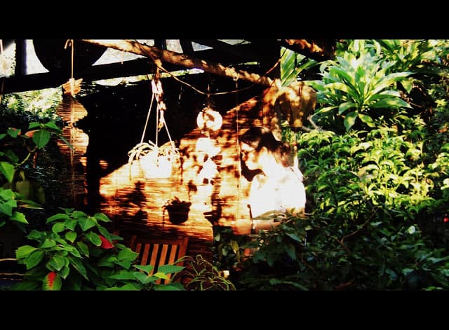 Huế ơi hue oi