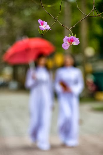Bạn có mê phố không?
