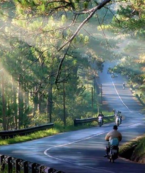 Blog Cảm nhận về Đà Lạt da lat mong mo
