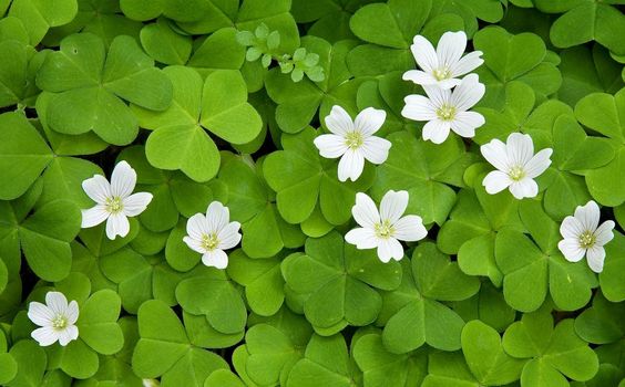 Đừng xấu hổ vì những điều như thế 17 Đừng xấu hổ vì những điều như thế 3