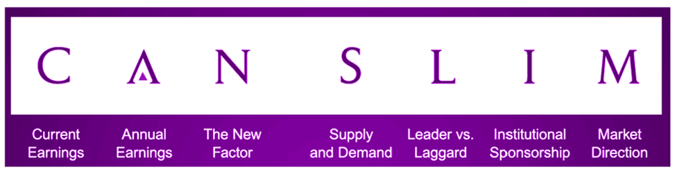 Cách lựa chọn cổ phiếu tốt ? 17 canslim