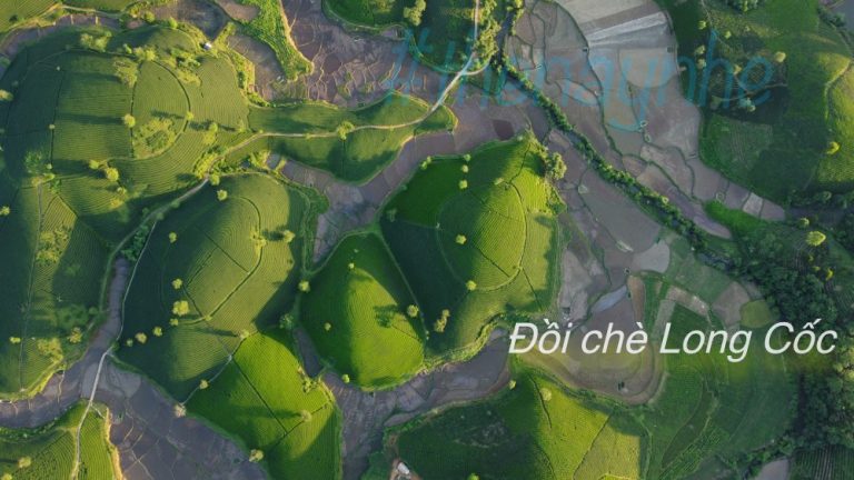 doi che long coc