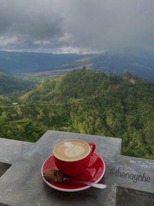 Gu Cafe & cá tính cung hoàng đạo 21 gu cafe 12 cung hoang dao