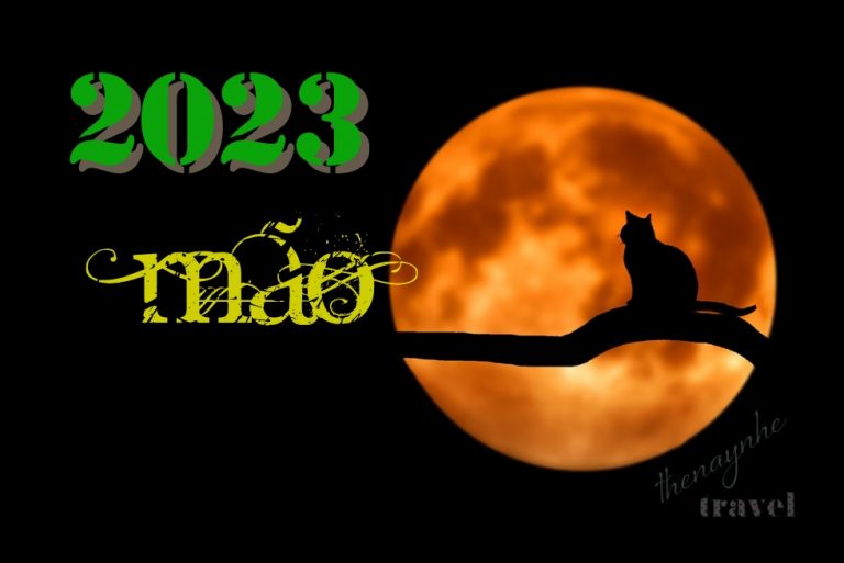 nam mao 2023